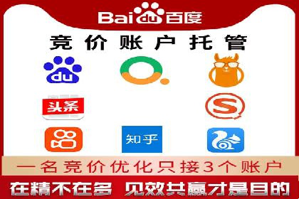 专业SEM托管如何助力电商行业增长？——案例分析